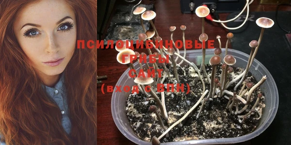 меф Абинск